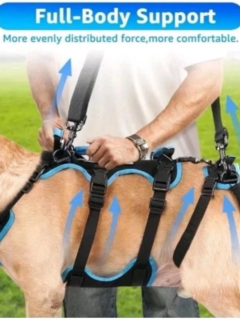 Blue Dog Lift Harness - Supportive Mobility Assist